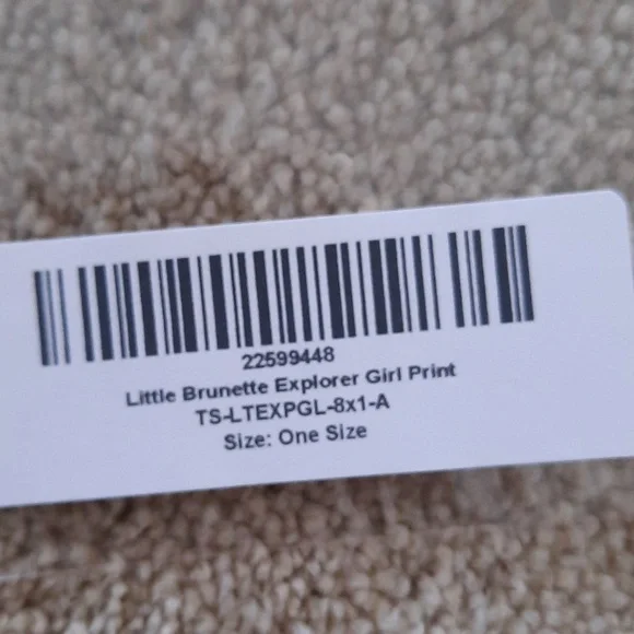 NWT. Etsy Kit Chase 2014 Girl Animals in Boat Print - Picture 5 of 6